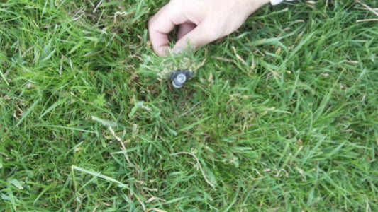 Fake Grass Cache 1