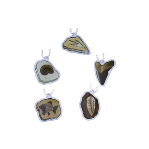 EarthCache™ Fossil Tag Set - All 5 Tags