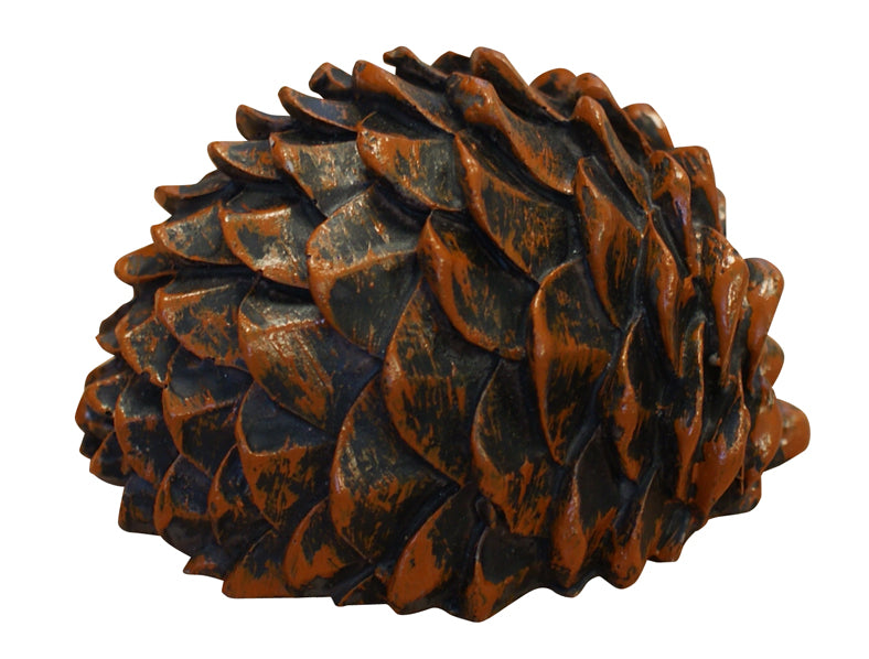 Pine Cone Cache